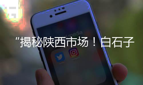 嘉善石子批发电话地址、河东区白石子厂家批发、颍上县白石子批发市场、济南石子批发业务电话地址